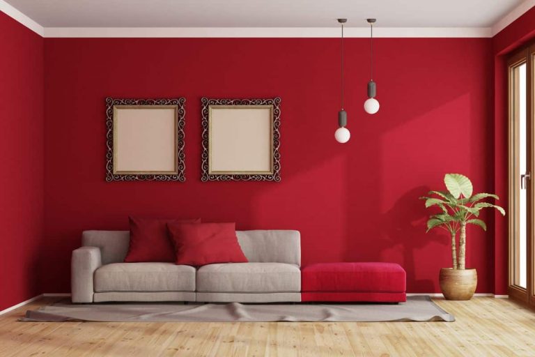 Attention déco : ces 5 couleurs peuvent anéantir l&rsquo;atmosphère de votre salon en un clin d&rsquo;œil qui captivera les lecteurs.